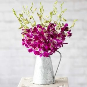 Oriental Orchids Large