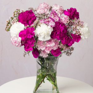 Butterfly Dreams Letterbox