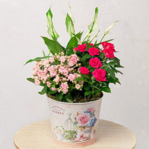 Pink Flower Planter